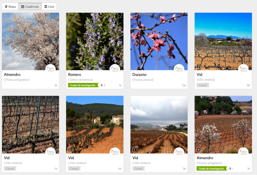 Imatge del projecte de Ritme Natura dins de iNaturalist. Font: iNaturalist