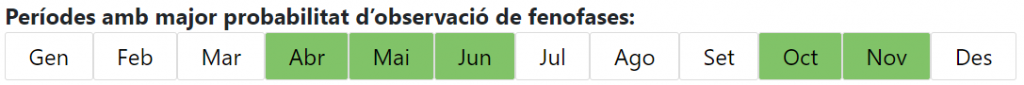 Calendari fenofases de l'alzina