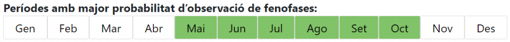 Calendari fenofases de l'arròs