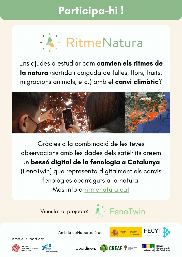Cara frontal Flyer FenoTwin