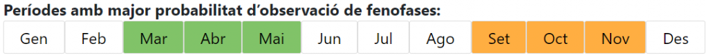 Calendari de les fenofases del faig