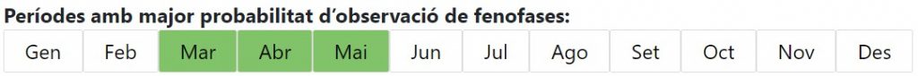 Calendari de les fenofases del pi pinyer