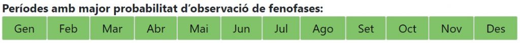 Calendari de les fenofases del romaní