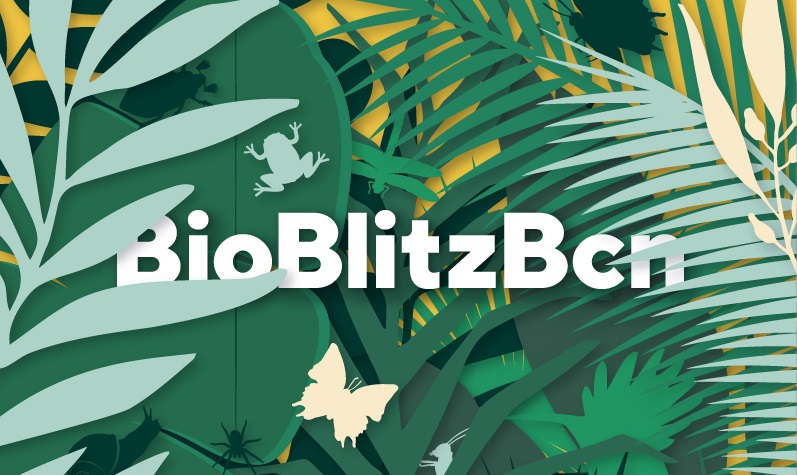 Cartell BioBlizBcn 2019. Font: Museu de Ciències Naturals de Barcelona