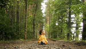 Boscos sans per a una societat saludable no només estudiarà el paper que juguen els boscos com a potencial font de salut per a les persones, sinó també com l'estat de salut de les masses forestals pot tenir efectes en la salut humana. Autor: (c) Pepepué