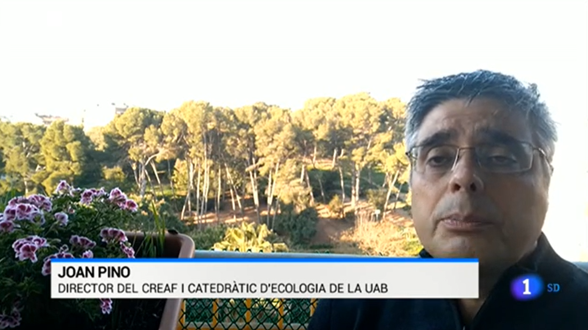 Joan Pino, director del CREAF, parlant sobre RitmeNatura a l'Informatiu de TVE. Font: Corporación de Radio y Televisión Española