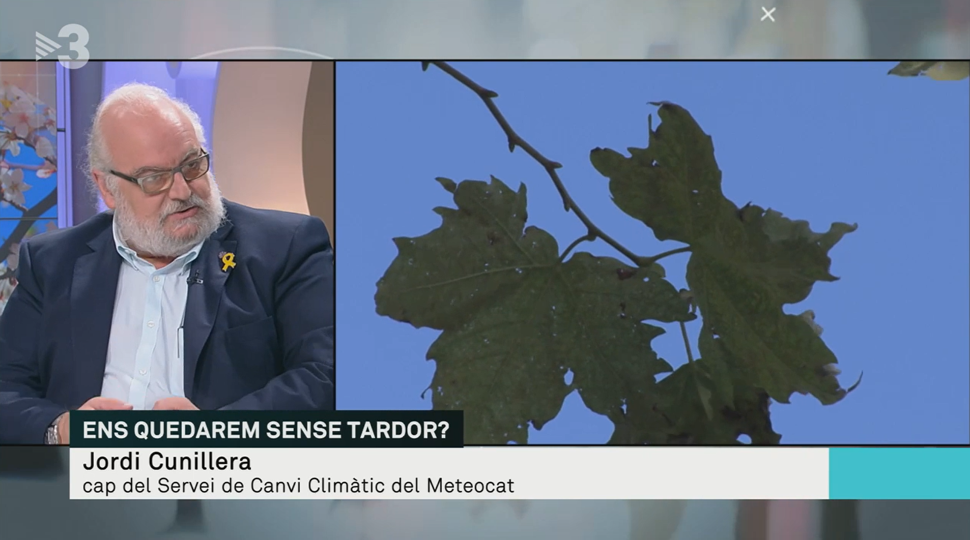 Jordi Cunillera, cap del Servei de Canvi Climàtic del Meteocat, parlant sobre fenologia i RitmeNatura als Matins de TV3. Font: Corporació Catalana de Mitjans Audiovisuals