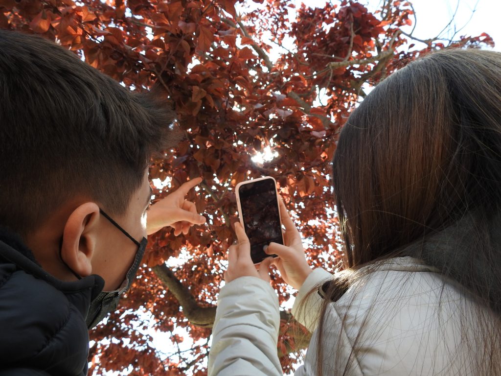 L’alumnat dels FenoCentres ha aportat gairebé 1.400 observacions de plantes i animals a l’observatori ciutadà RitmeNatura. Font: Pau Guzmán