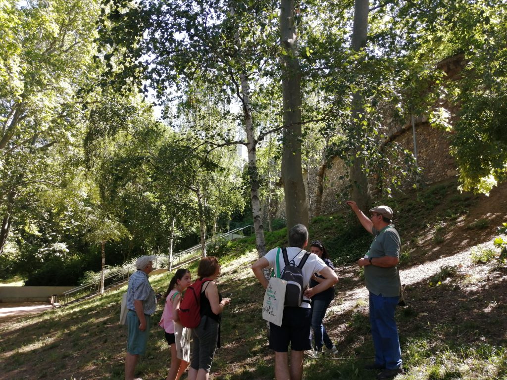 Els experts locals de Terrassa han estat la clau per a poder fer els itineraris de la segona edició del BioBlitz del parc de Vallparadís. Font: Gerard Gaya