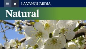 La Vanguardia ha publicat un article sobre #FenoDato. Font: CREAF