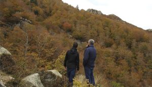 Persones voluntàries de PhenoTandem decidint l’estat fenològic dels arbres en una fageda del Montseny a principis d’aquesta tardor. Font: Pau Guzmán.
