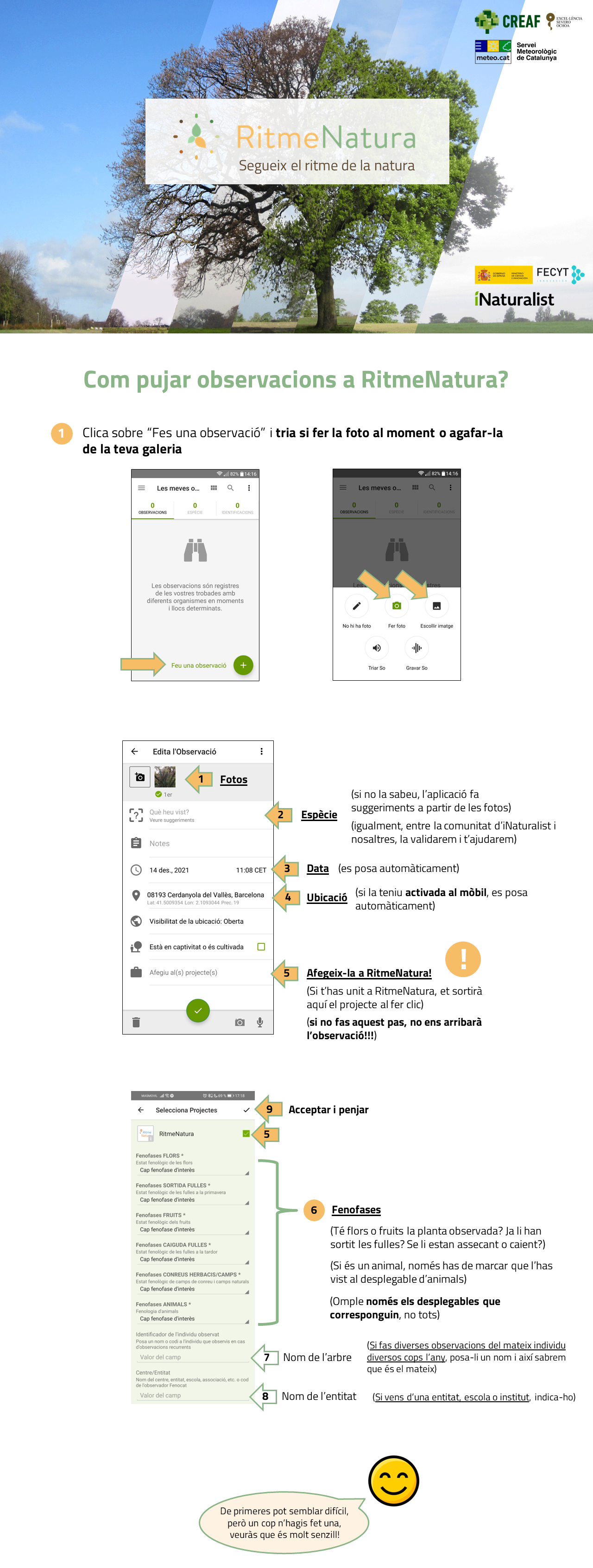 Com pujar observacions al projecte d'iNaturalist de RitmeNatura pas a pas un cop ja hi estàs unit. Font: Gerard Gaya