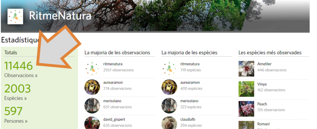 El primer pas per filtrar la cerca d'observacions al projecte RitmeNatura d'iNaturalist sempre és clicar sobre l'apartat d'observacions d'aquest. Font: iNaturalist