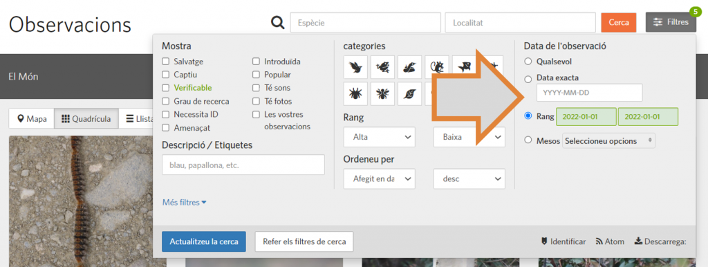 El tercer pas per tal de filtrar per una data o franja temporal la cerca d'observacions al projecte RitmeNatura d'iNaturalist és indicar-la a l'apartat corresponent del menú de filtres. Font: iNaturalist