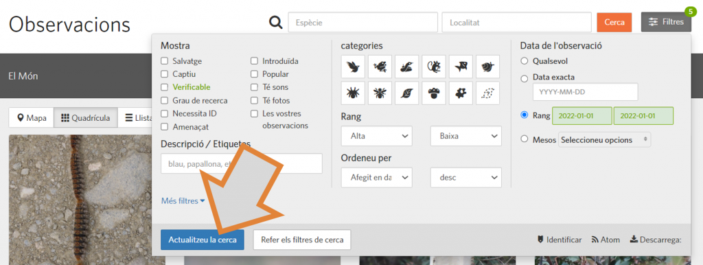 L'últim pas per tal de filtrar per usuari o per franja horària la cerca d'observacions al projecte RitmeNatura d'iNaturalist és clicar sobre "Actualitzeu la cerca". Font: iNaturalist