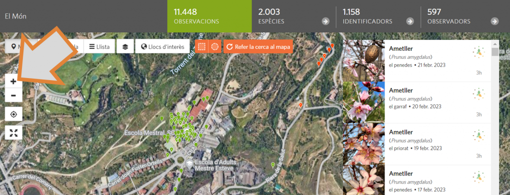 El tercer pas per delimitar geogràficament la cerca d'observacions al projecte RitmeNatura d'iNaturalist és anar fent zoom i buscar el centre educatiu o la zona on l'alumnat fa les observacions. Font: iNaturalist