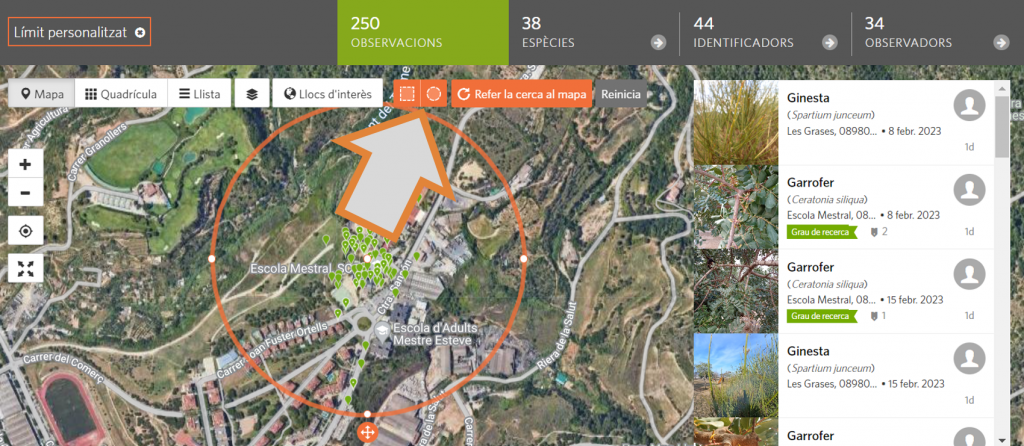 El quart pas per delimitar geogràficament la cerca d'observacions al projecte RitmeNatura d'iNaturalist és utilitzar les eines per dibuixar un límit circular o rectangular. Font: iNaturalist