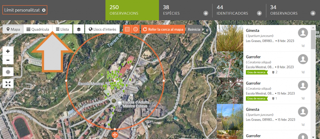 El cinquè pas per delimitar geogràficament la cerca d'observacions al projecte RitmeNatura d'iNaturalist és tornar a visualitzar correctament les observacions amb els formats quadrícula o llista. Font: iNaturalist