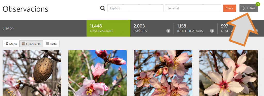 El segon pas per tal de filtrar per usuari o franja temporal la cerca d'observacions al projecte RitmeNatura d'iNaturalist és clicar sobre "Filtres". Font: iNaturalist