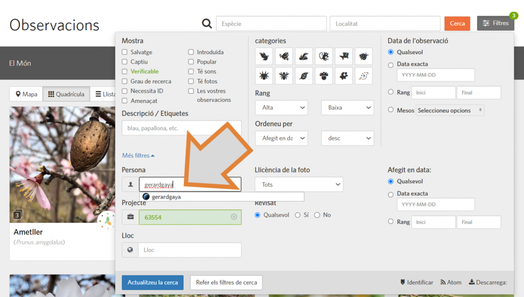 El quart pas per tal de filtrar per usuari la cerca d'observacions al projecte RitmeNatura d'iNaturalist és escriure el nom d'usuari a l'apartat "Persona" i seleccionar-lo del desplegable que apareix. Font: iNaturalist