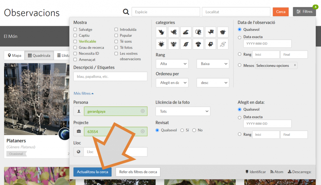 L'últim pas per tal de filtrar per usuari o per franja horària la cerca d'observacions al projecte RitmeNatura d'iNaturalist és clicar sobre "Actualitzeu la cerca". Font: iNaturalist