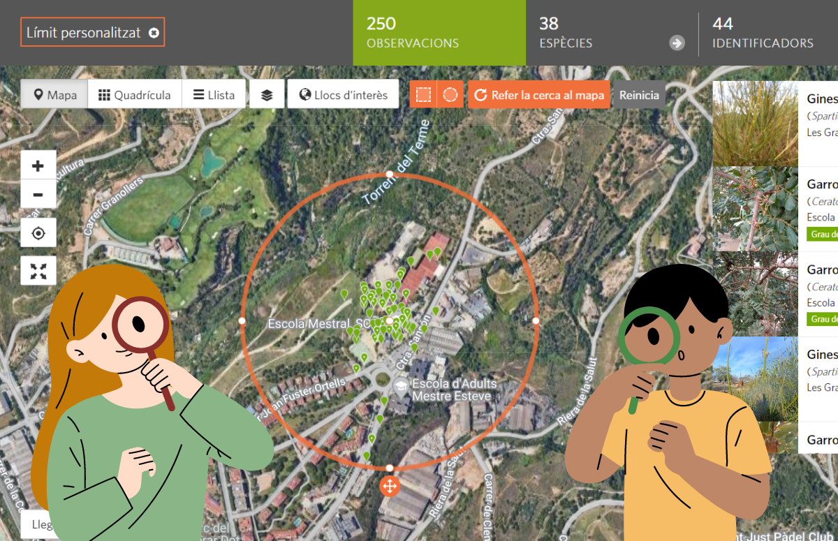 La plataforma iNaturalist ens brinda diverses opcions per fer el seguiment exhaustiu de les observacions de l'alumnat. Font: RitmeNatura a iNaturalist