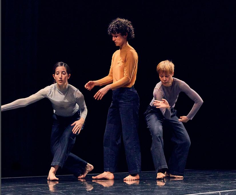 Rítmia és un peça escènica de dansa contemporània i música de percussió que explora la dimensió geomètrica, sensorial i poètica del ritme. Se centra sobretot en els polirritmes, en la interacció entre el ritme sonor i el ritme visual. Acompanyarem la peça amb un col·loqui que posarà en diàleg, les matemàtiques, la música i el temps. Font: Fundació Julio Muñoz Ramonet