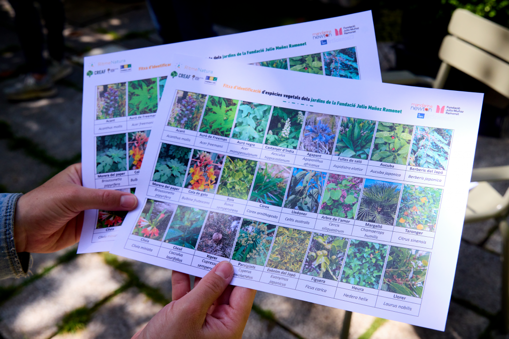 La primera fitxa d'identificació d'espècies vegetals dels jardins Julio Muñoz Ramonet, dissenyada per l'equip de RitmeNatura, contenia 47 espècies, però ja ha estat ampliada durant la primera sessió de la sèrie de tallers #ArtScience23. Font: La Mandarina de Newton