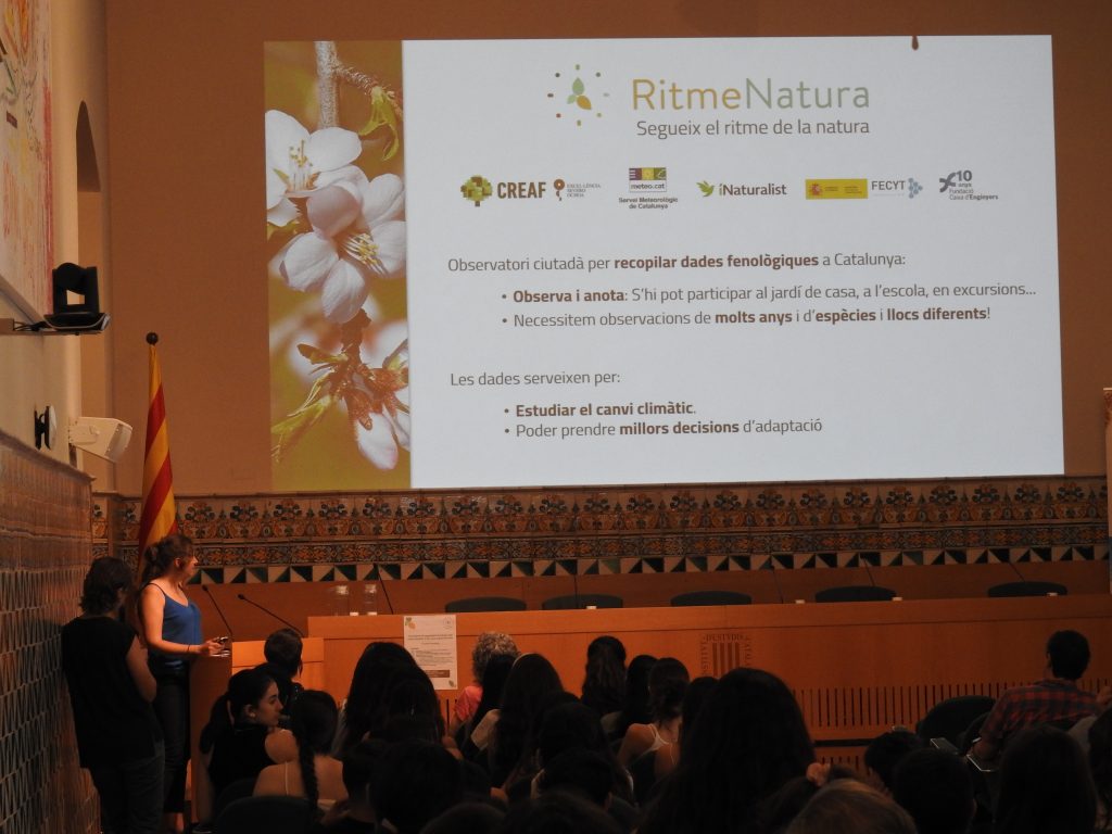 Ester ha contextualitzat els resultats envers els objectius de FenoAula. Font: Pau Guzmán