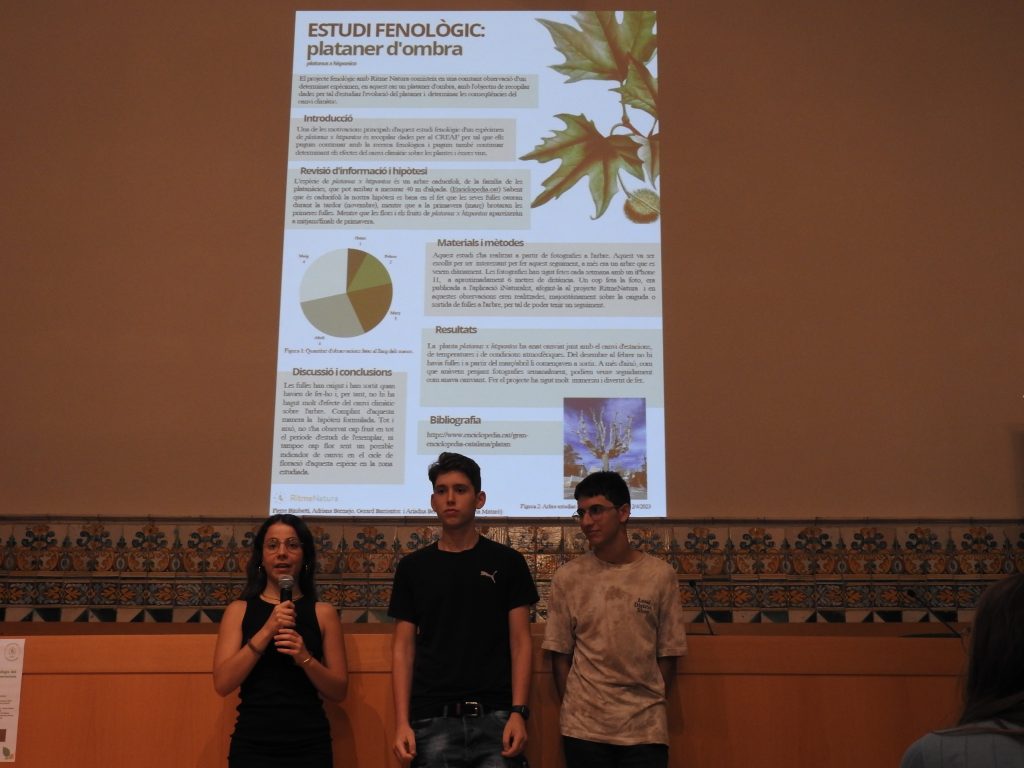 L'escola Pia de Mataró ha enviat tres pòsters científics i ha presentat el que fa referència a la seva observació fenològica del plataner d'ombra. Font: Pau Guzmán