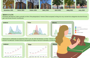 Resultats del pòster "Recerca fenològica a Esparreguera", realitzat per l'alumnat de l'escola Cooperativa El Puig. Font: FenoAula