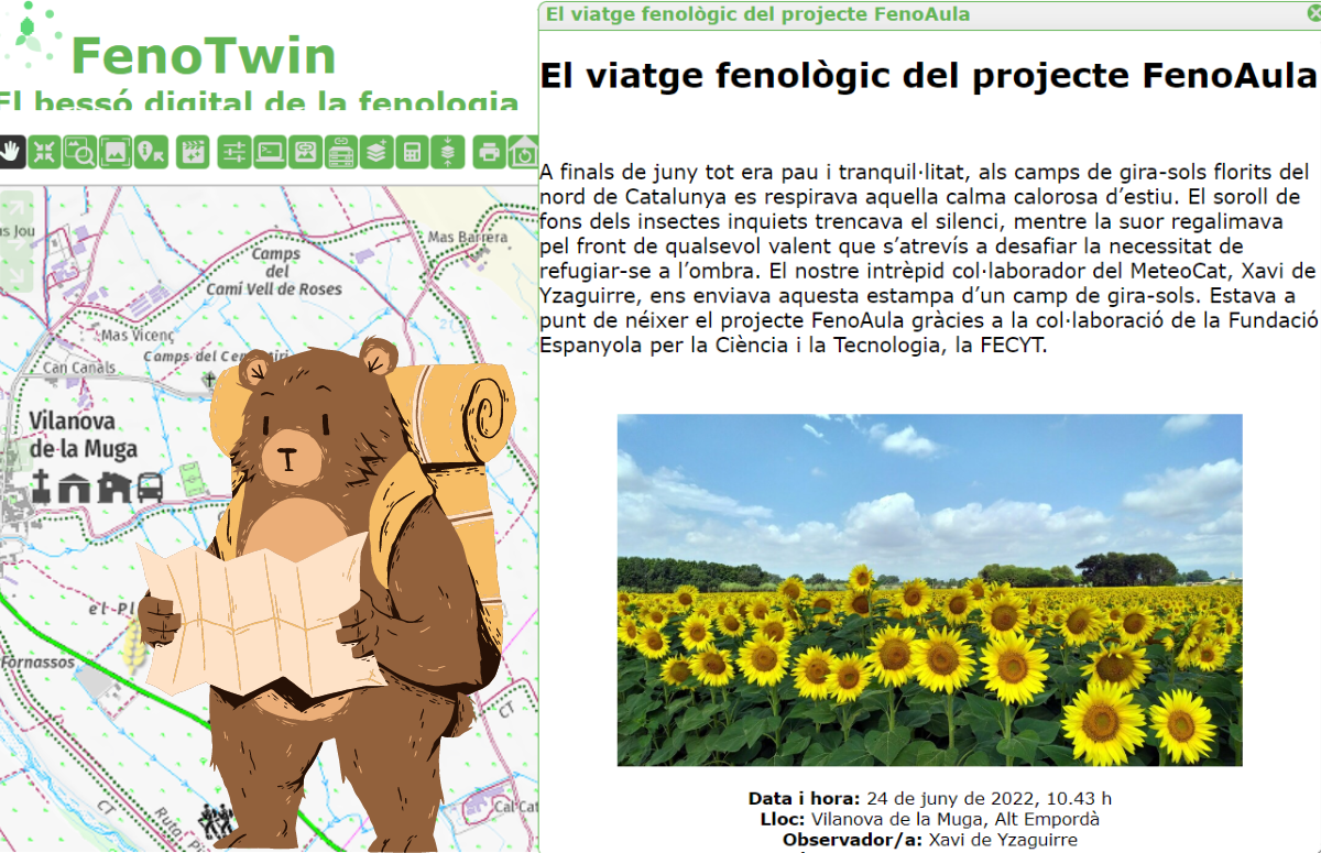 La primera storymap sobre fenologia de Catalunya fa un repàs del projecte FenoAula de RitmeNatura a través d'aportacions enviades per la ciutadania. Font: bessó digital FenoTwin