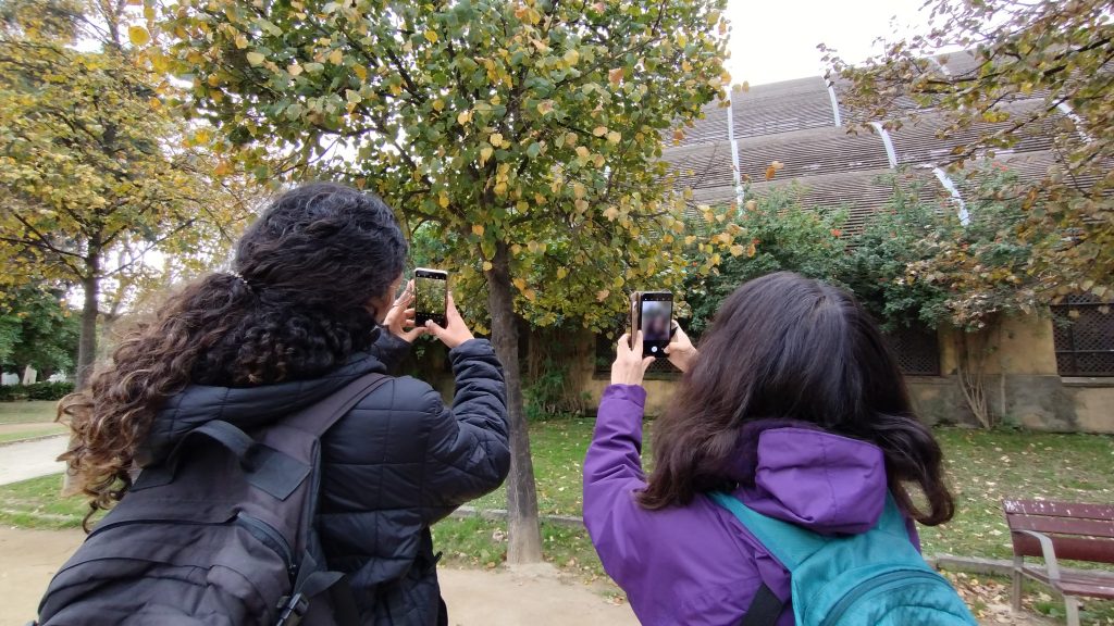 Com la majoria de tallers de RitmeNatura, la sessió a la Ciutadella va acabar amb la pràctica de l'observació fenològica amb iNaturalist per part del públic assistent, assessorat per l'equip de l'observatori. Font: Voluntariat Ambiental