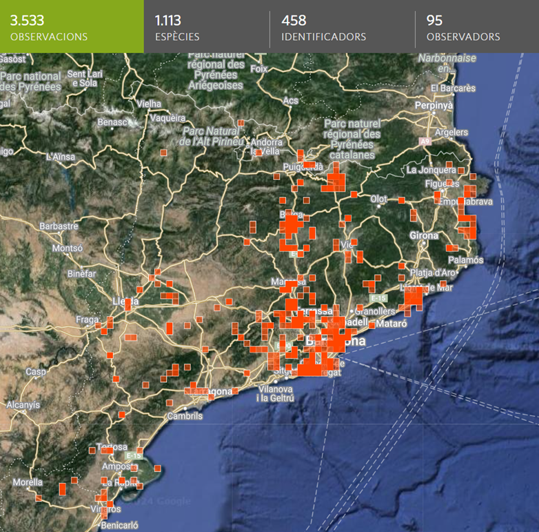 Resultats numèrics i mapa de les observacions fenològiques rebudes a l'observatori ciutadà RitmeNatura durant el mes de març de 2024. Font: iNaturalist