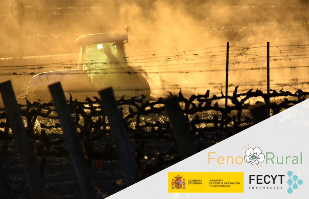 El projecte FenoRural és la iniciativa de ciència cituadana que estarà duent a terme l'observatori RitmeNatura fins al juny de 2026 gràcies a la col·laboració de la Fundació Espanyola per la Ciència i Tecnologia (FECYT). Font: Àngela Llop